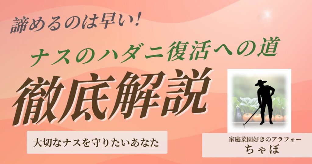 ナスにハダニがつくと手遅れ？症状の見極め方から農薬の選び方・木酢液・酢の使い方まで徹底解説！